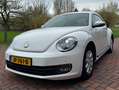 Volkswagen Beetle Beetle 1.2 TSI Design Wit - thumbnail 3