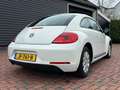 Volkswagen Beetle Beetle 1.2 TSI Design Wit - thumbnail 5