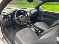 Volkswagen Beetle Beetle 1.2 TSI Design Wit - thumbnail 7
