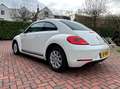 Volkswagen Beetle Beetle 1.2 TSI Design Wit - thumbnail 6