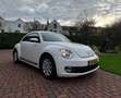 Volkswagen Beetle Beetle 1.2 TSI Design Wit - thumbnail 16