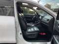Renault Koleos 2.0 DCI 4WD Initiale Paris / 4x4 / FULL OPTIONS / Weiß - thumbnail 23