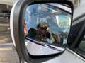 Renault Koleos 2.0 DCI 4WD Initiale Paris / 4x4 / FULL OPTIONS / Weiß - thumbnail 12