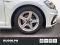 Volkswagen Golf Variant VII Highline R line DSG AHK SD Navi Keyless Bianco - thumbnail 7