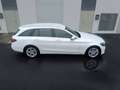 Mercedes-Benz C 200 Estate 200CDI BE Edition Blanco - thumbnail 7