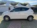 Lancia Ypsilon Ypsilon 1.2 Silver 69cv Bianco - thumbnail 4