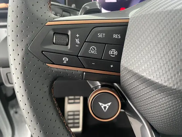 Cupra Terramar view 14