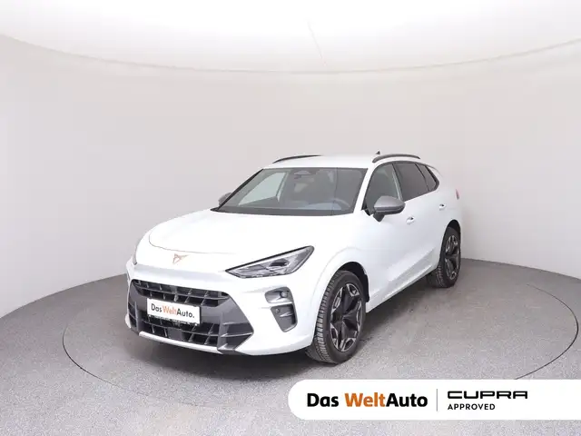 Cupra Terramar main image