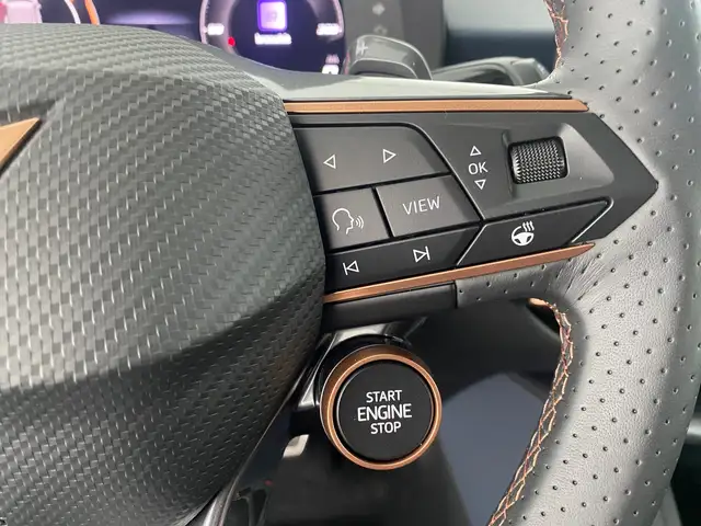 Cupra Terramar view 15