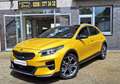 Kia XCeed XDITION Automatik Schiebedach Digital Navi Kamera Gelb - thumbnail 2