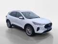 Ford Kuga 1,5 EcoBoost Titanium Weiß - thumbnail 7