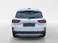 Ford Kuga 1,5 EcoBoost Titanium Weiß - thumbnail 4
