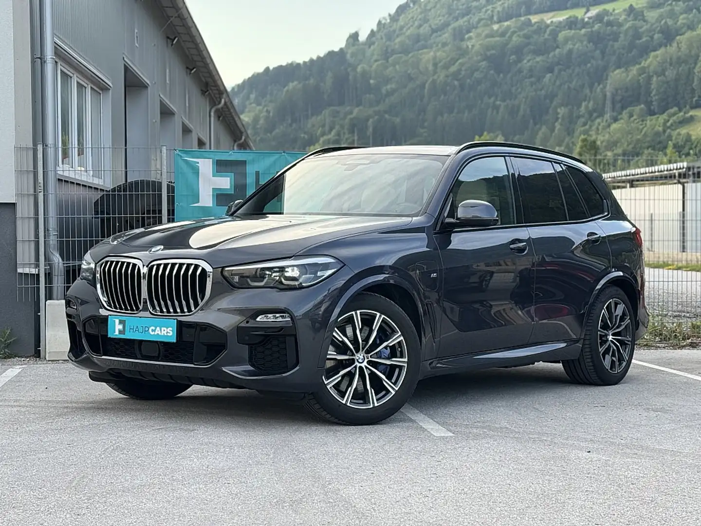 BMW X5 Gris - 1
