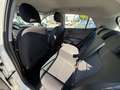 Kia Picanto Edition 7 - 1.Hand - 24tkm - Klima - SHZ Weiß - thumbnail 11