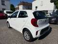 Kia Picanto Edition 7 - 1.Hand - 24tkm - Klima - SHZ Weiß - thumbnail 6