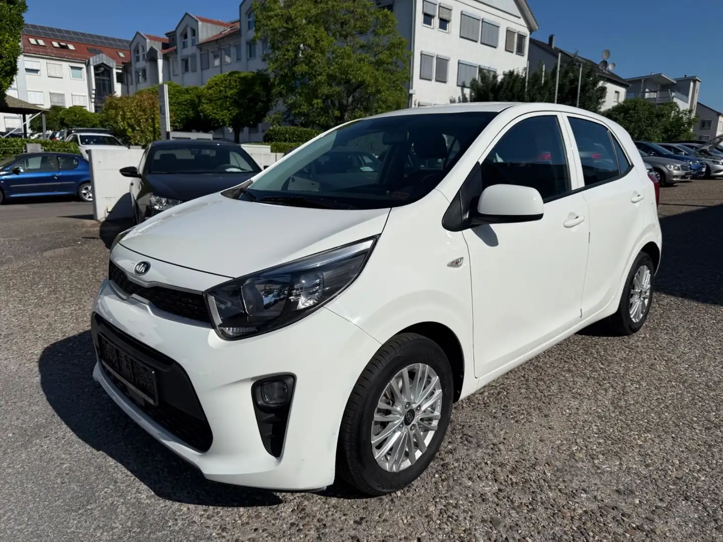 Kia Picanto Edition 7 - 1.Hand - 24tkm - Klima - SHZ Weiß - 1