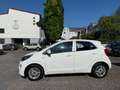 Kia Picanto Edition 7 - 1.Hand - 24tkm - Klima - SHZ Weiß - thumbnail 7