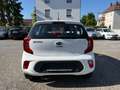 Kia Picanto Edition 7 - 1.Hand - 24tkm - Klima - SHZ Weiß - thumbnail 5