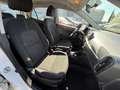 Kia Picanto Edition 7 - 1.Hand - 24tkm - Klima - SHZ Weiß - thumbnail 13