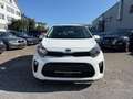Kia Picanto Edition 7 - 1.Hand - 24tkm - Klima - SHZ Weiß - thumbnail 2