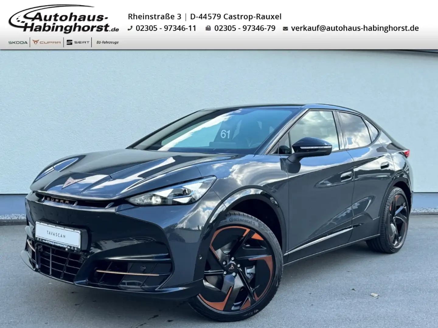 CUPRA Tavascan Endurance 77 kWh Navi HeadUp DCC Pano Matrix 21Alu Grau - 1