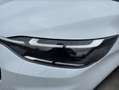 Ford Tourneo Custom 2,0 EcoBlue 320 L2 AWD Titanium X  *VOLL* Weiß - thumbnail 27