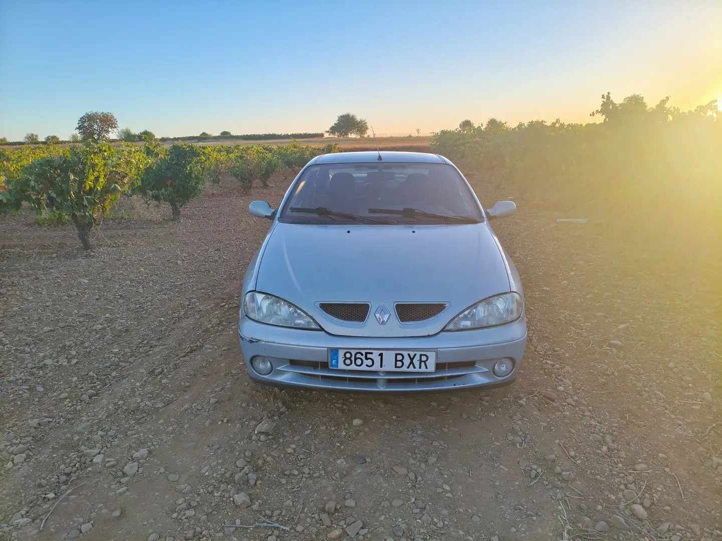 Renault Megane Mégane Coupé 1.9DCI Sportway Sportway Plateado - 1