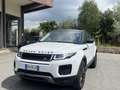 Land Rover Range Rover Evoque Range Rover Evoque I 2016 5p 2.0 ed4 Pure Business Bianco - thumbnail 6