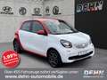smart forFour 1.0 passion Klimaauto./LMF Weiß - thumbnail 1