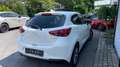 Mazda 2 Kizoku Weiß - thumbnail 4