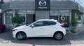 Mazda 2 Kizoku Weiß - thumbnail 2