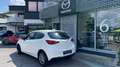 Mazda 2 Kizoku Weiß - thumbnail 3