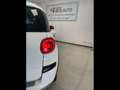 Fiat 500L 2017 Cross cross 1.3 mjt 95cv my19 Blanc - thumbnail 9