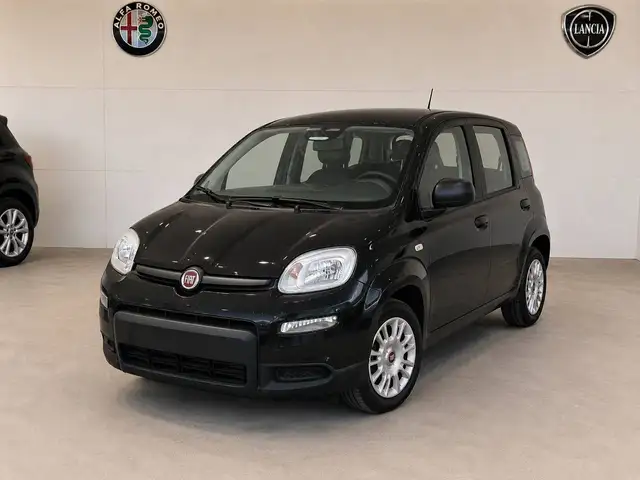 2026 Fiat Pandina in Black for sale