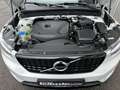 Volvo XC40 T4 R-Design AWD Weiß - thumbnail 12