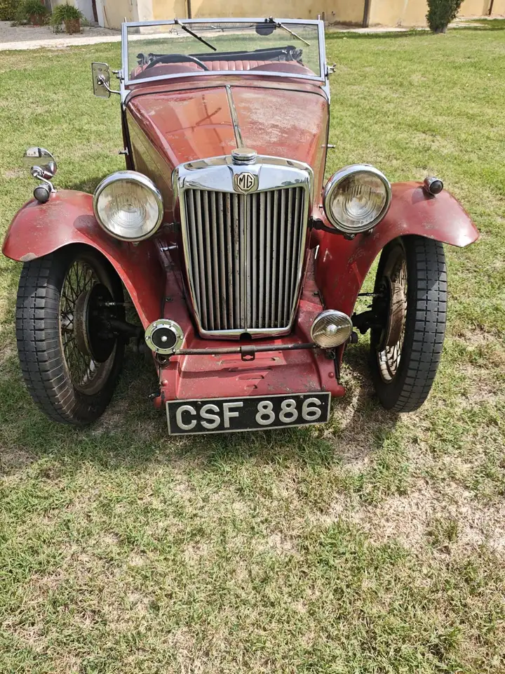 MG TA, foto 1