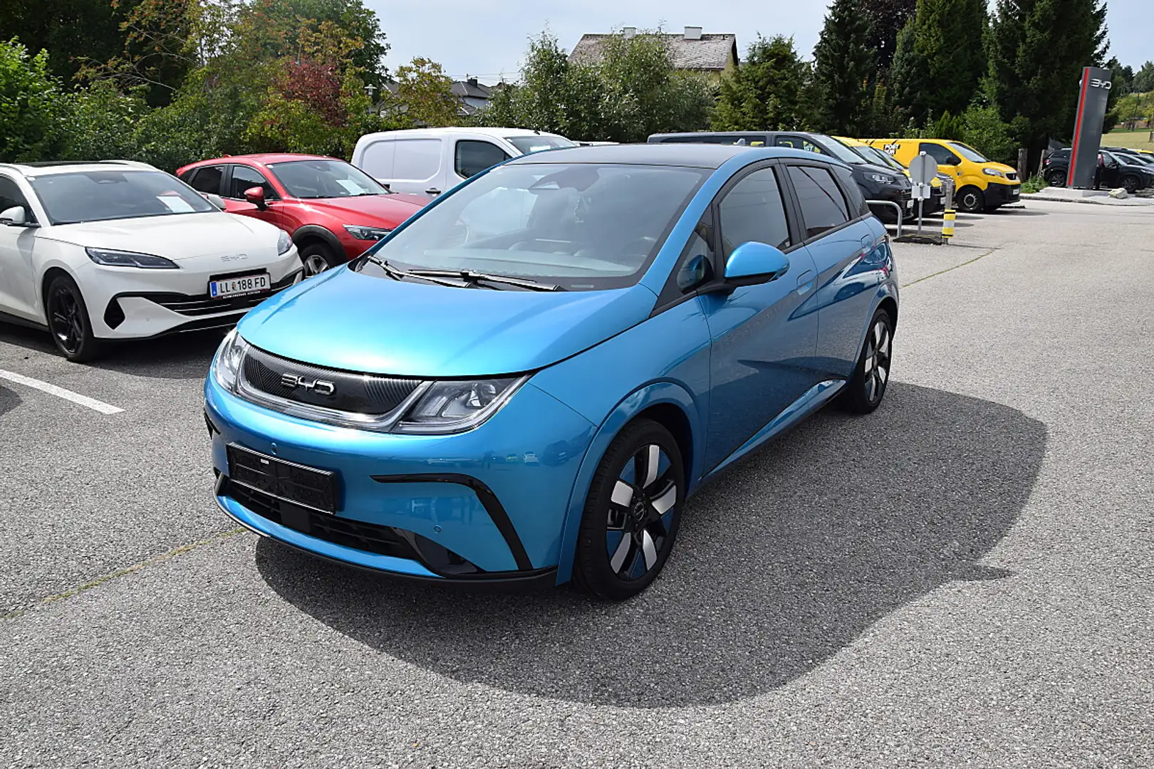 BYD Dolphin 60,4 kWh Design Österreich Paket *8-fach bereift* Blau - 1