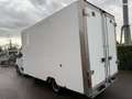 Renault Master 10500 ht 2.3 dci 130ch caisse 20m3 plancher cabine - thumbnail 4