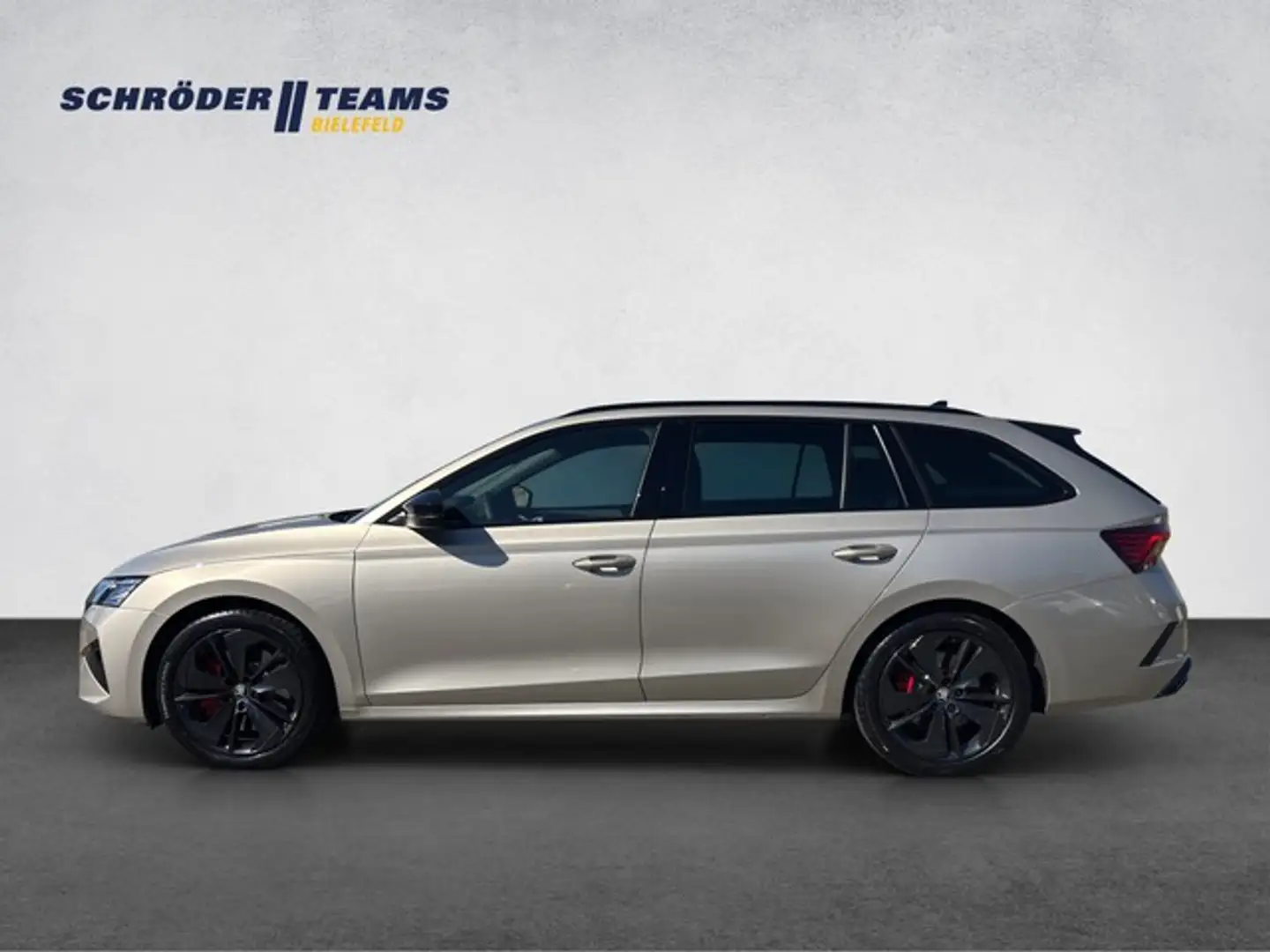 Skoda Octavia Combi RS 2.0 TSI DSG RS AHK/SONDERFARBE Beige - 2