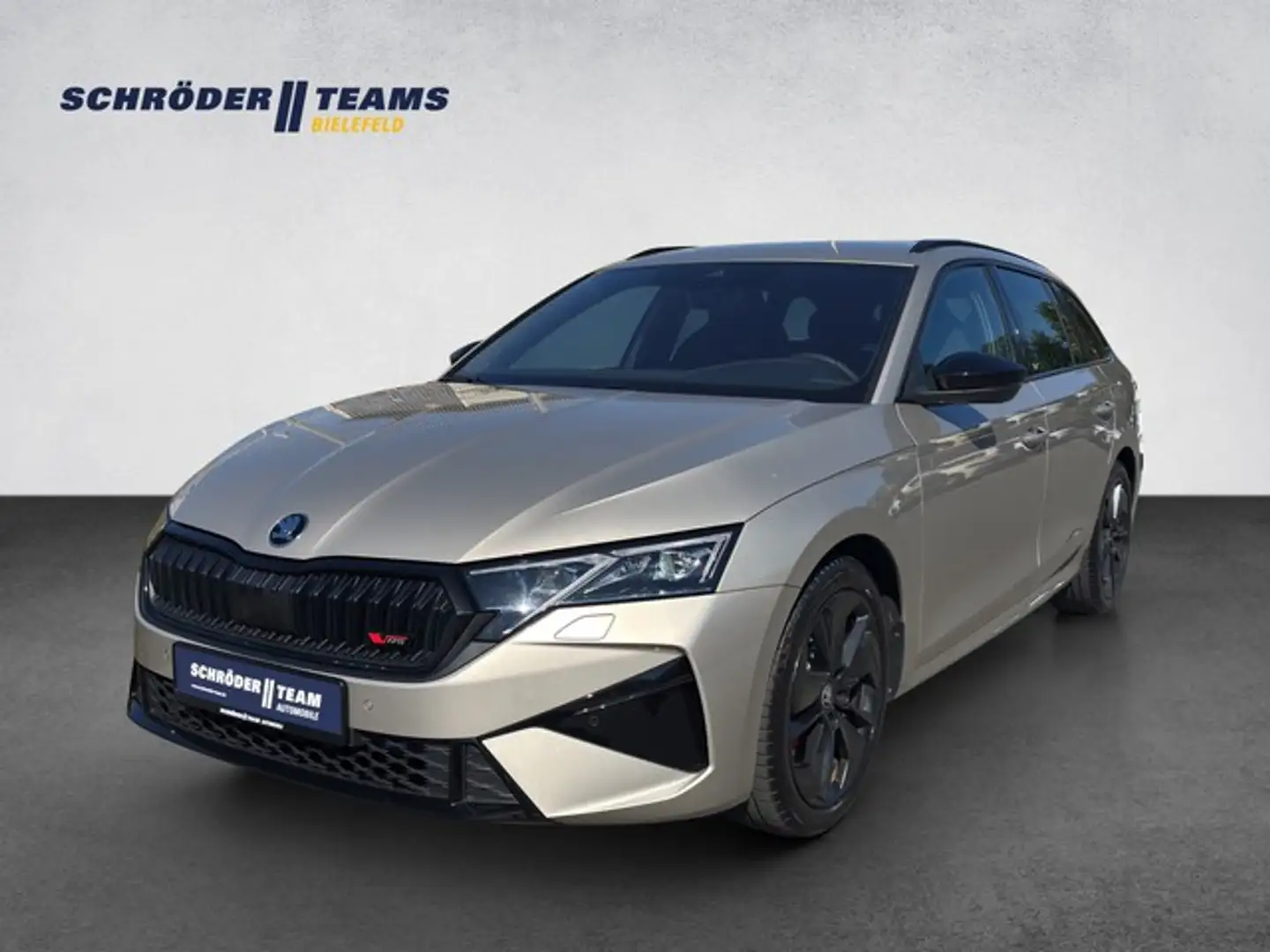 Skoda Octavia Combi RS 2.0 TSI DSG RS AHK/SONDERFARBE Beige - 1