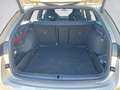 Skoda Octavia Combi RS 2.0 TSI DSG RS AHK/SONDERFARBE Beige - thumbnail 14