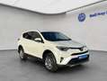 Toyota RAV 4 2.5 4x4 Hybrid Edition S Bianco - thumbnail 8