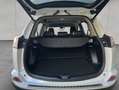 Toyota RAV 4 2.5 4x4 Hybrid Edition S Bianco - thumbnail 5