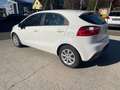 Kia Rio Attract Weiß - thumbnail 7