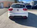 Kia Rio Attract Weiß - thumbnail 6