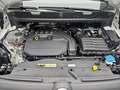 Volkswagen Caddy CADDY MAXI 1.5 TSI KLIMA AUDIO 5-SITZER TRENNWAND Weiß - thumbnail 16