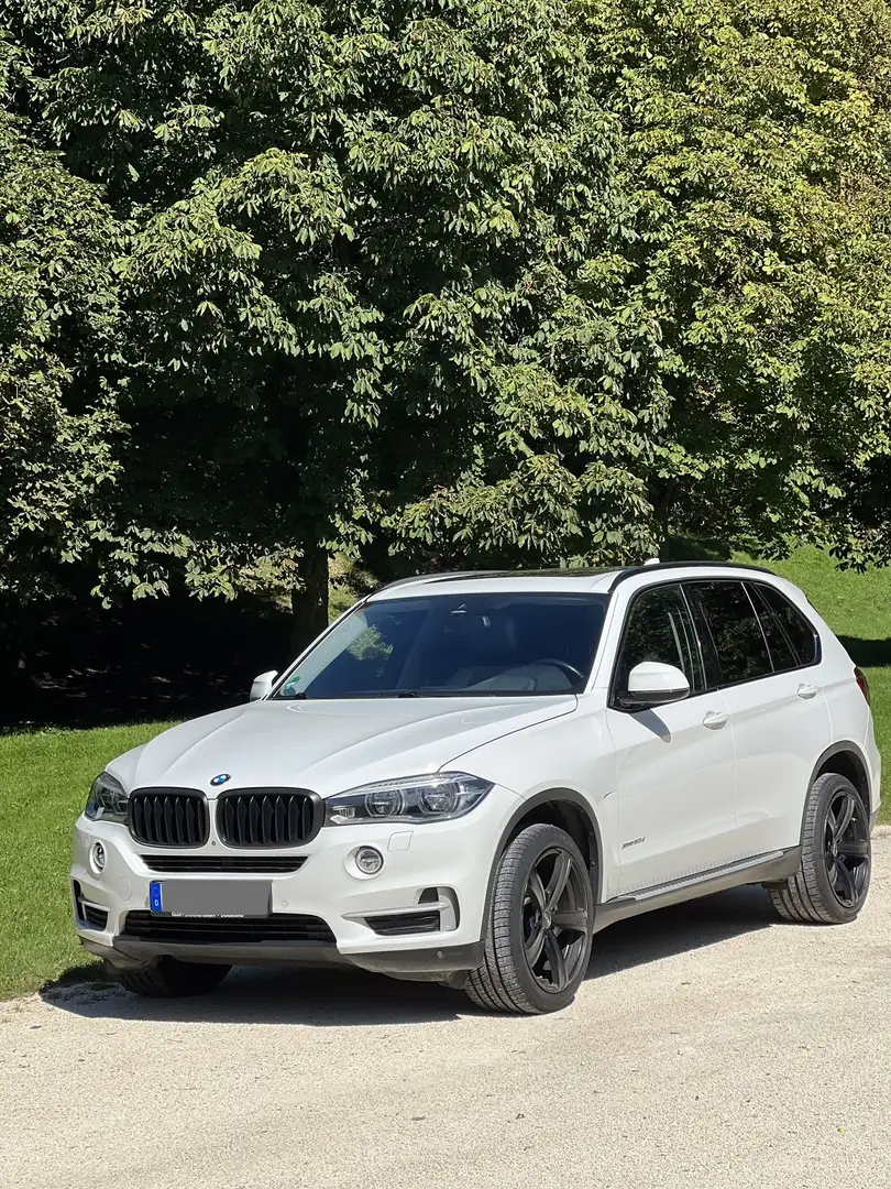 BMW X5 xDrive30d Sport-Aut. Soft-Close-Automatik - 1