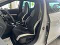 SEAT Leon Cupra 290 DSG * SCHALENSITZE * Weiß - thumbnail 11