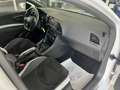 SEAT Leon Cupra 290 DSG * SCHALENSITZE * Weiß - thumbnail 22