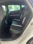 SEAT Leon Cupra 290 DSG * SCHALENSITZE * Weiß - thumbnail 17